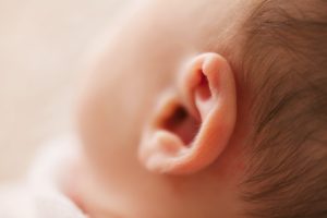 Picture of an infant's ear, which are more prone to ear infections.
