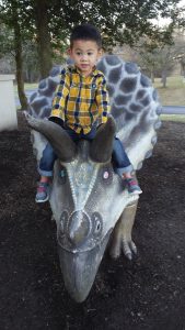 Picture of my son sitting on top of a Triceratops statue outside the Delaware Museum of Natural History.