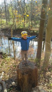 My son standing on a tree stump at White Clay Creek State Park.